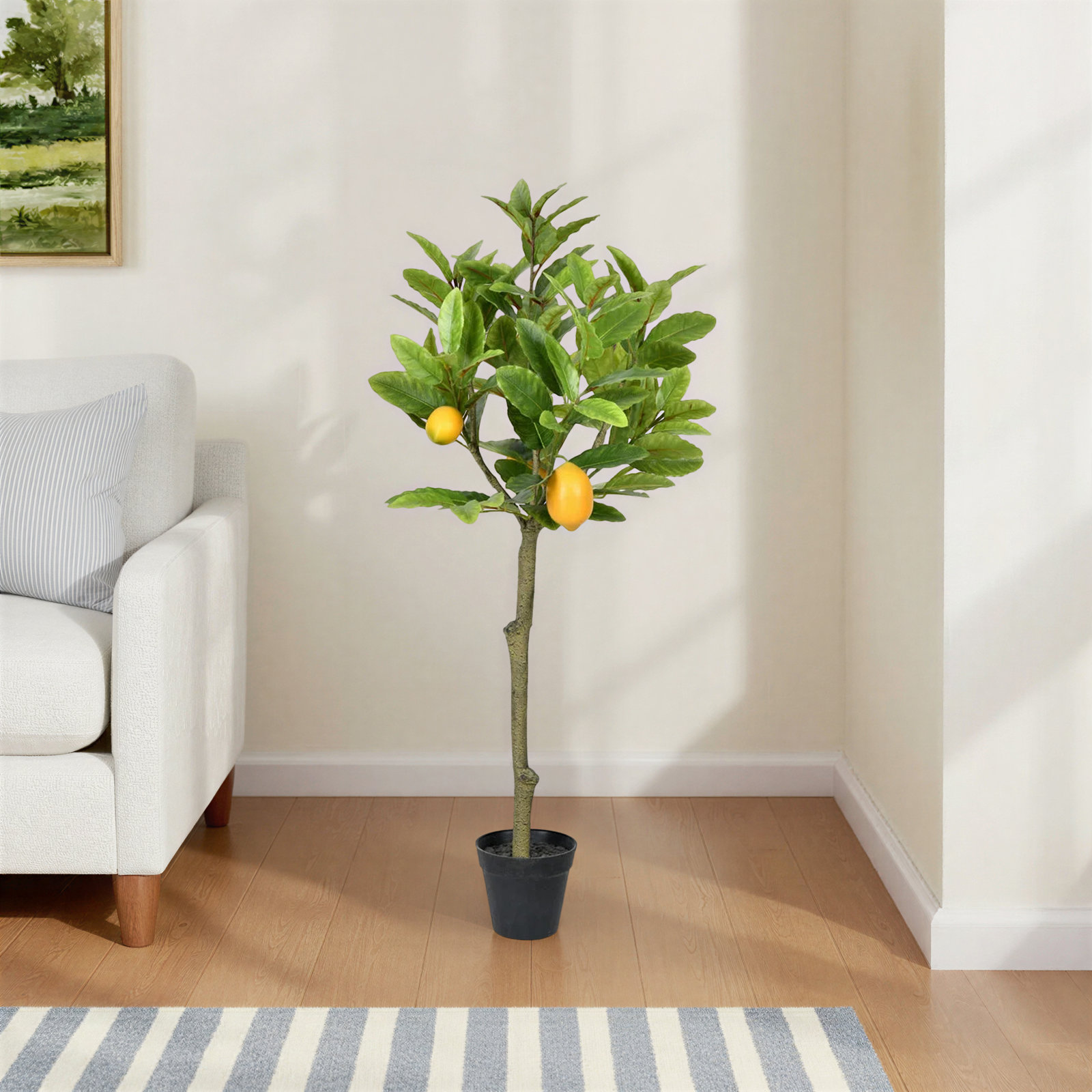 55" Lemon Tree in Pot, 36" H x 20" W x 20" D