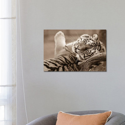 Tiger III 1 Piece Wrapped Canvas Wall Art