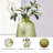 Benildis Glass Table Vase