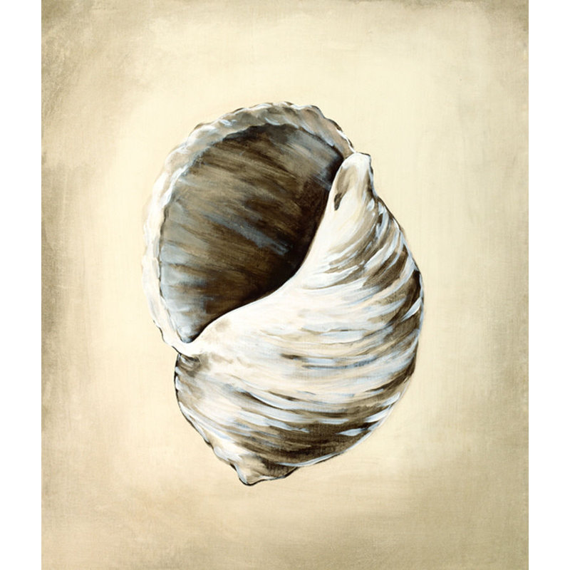 Seashells III Print by Sydney Edmunds, Outdoor, 59" H x 47" W x 1.5" D