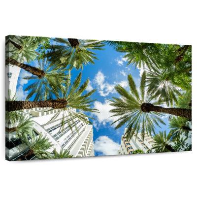Under Miami Palms