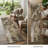8' Runner Taupe Floral Washable Non Skid Indoor Outdoor Runner Rug