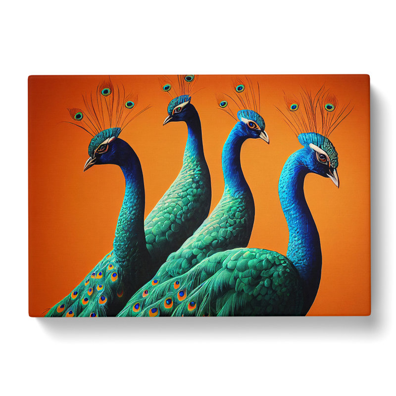 Four Peacocks - Wrapped Canvas, 50cm H x 76cm W x 3cm D
