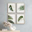 Ensemble de 4 palmiers tropicaux verts et blancs, impression murale encadrée sur papier, impression de 4 pièces-93012339-93012342