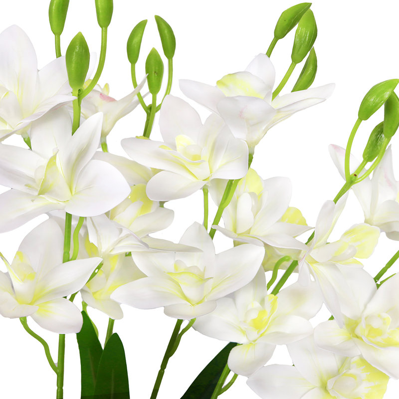 Tige d'orchidée, Blanc crème