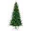 6'FeelReal®DuxburyLtGreenHngTr-200DualGlobe-1932721029