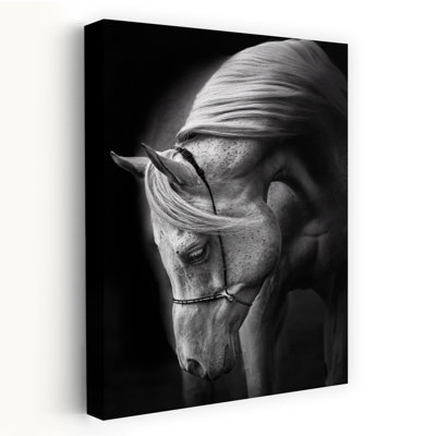Art contemporain Art cheval contemporain