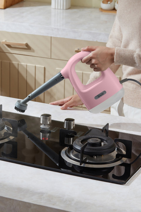 Steam Cleaners
