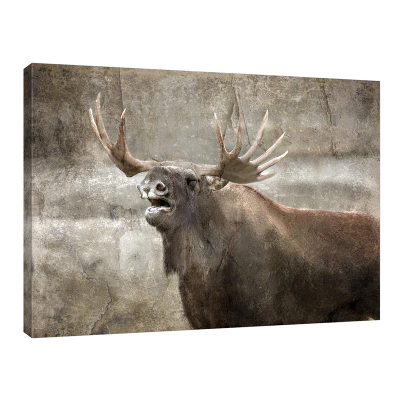 Winter's Day by Kimberly Allen - Wrapped Canvas Print, 61cm H x 81cm W x 4cm D