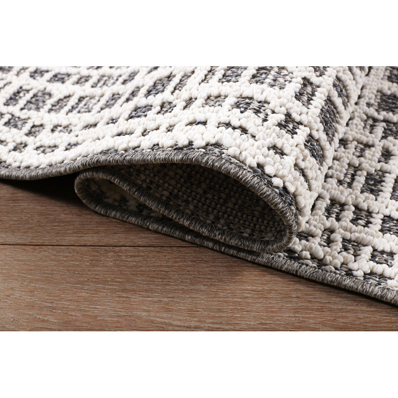 Antowine Polypropylene Indoor/Outdoor Rug, Runner 2'2" x 7'6"