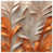 Medium Beige Dark Orange