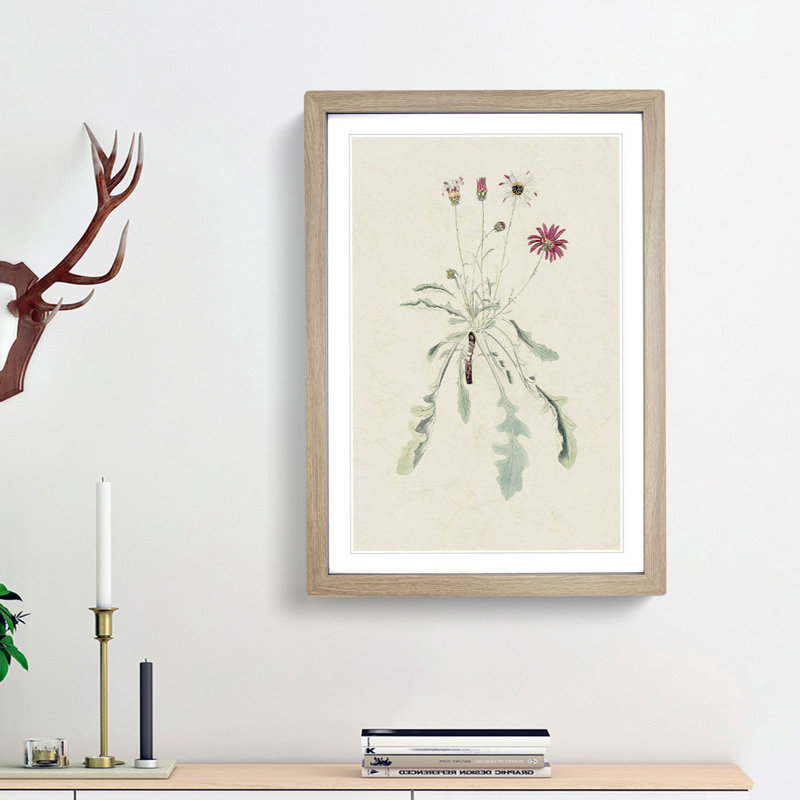 Wild Pink Flower Illustration - Framed Print, 36cm H x 27cm W x 2cm D, Oak Framed
