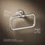 Artifacts® Towel Ring-625867066