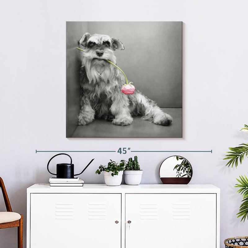 Brampt Ziggy BW, 30" H x 30" W