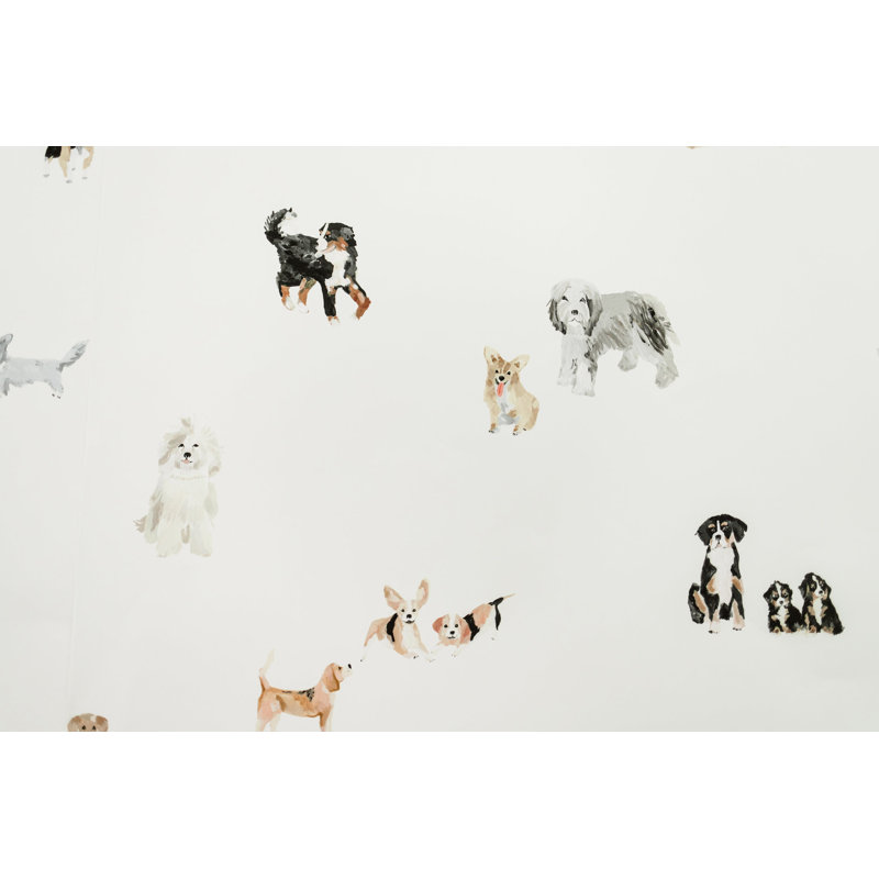 Wallpaper, Pre-Pasted