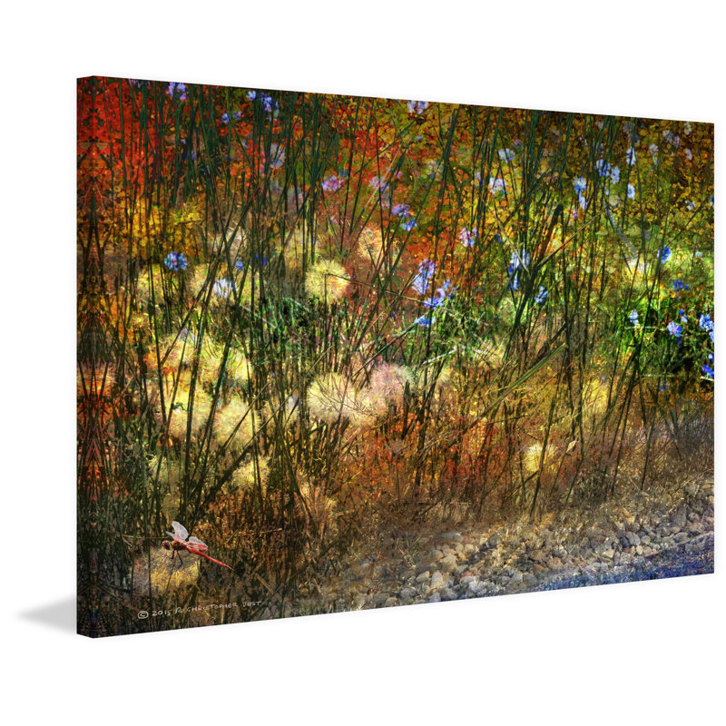 Meadow Dragon Fly Canvas Print in Sustainable Wood Frame