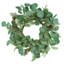 Ensemble de 2, bougie anneau d'eucalyptus vert D14,2 "