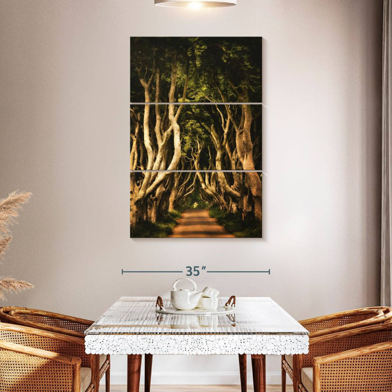 Harnek Ireland's Dark Hedges, H 32 po x l 20 po