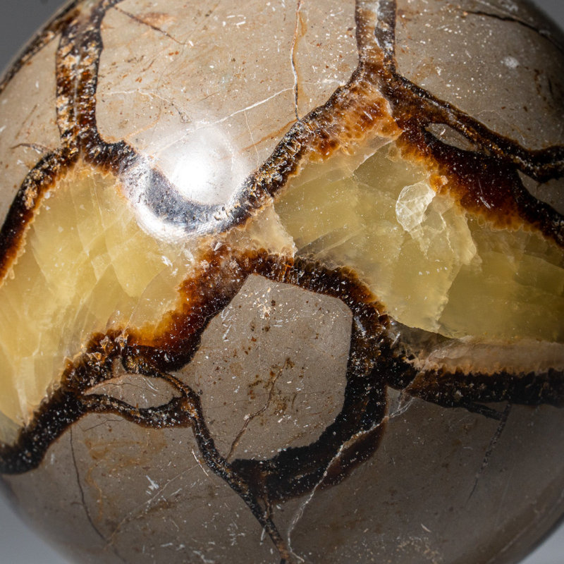 Genuine Polished Septarian (2") Sphere from Madagascar, 3.5" H x 3.5" W x 3.5" D, Gray/Yellow/Brown