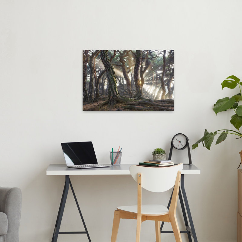 Forêt brumeuse, rayons du soleil, paysage forestier éthéré, paisible et serein - Affiche murale, H 24 po x l 36 po