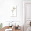 Blanc magnolia II-1138723338
