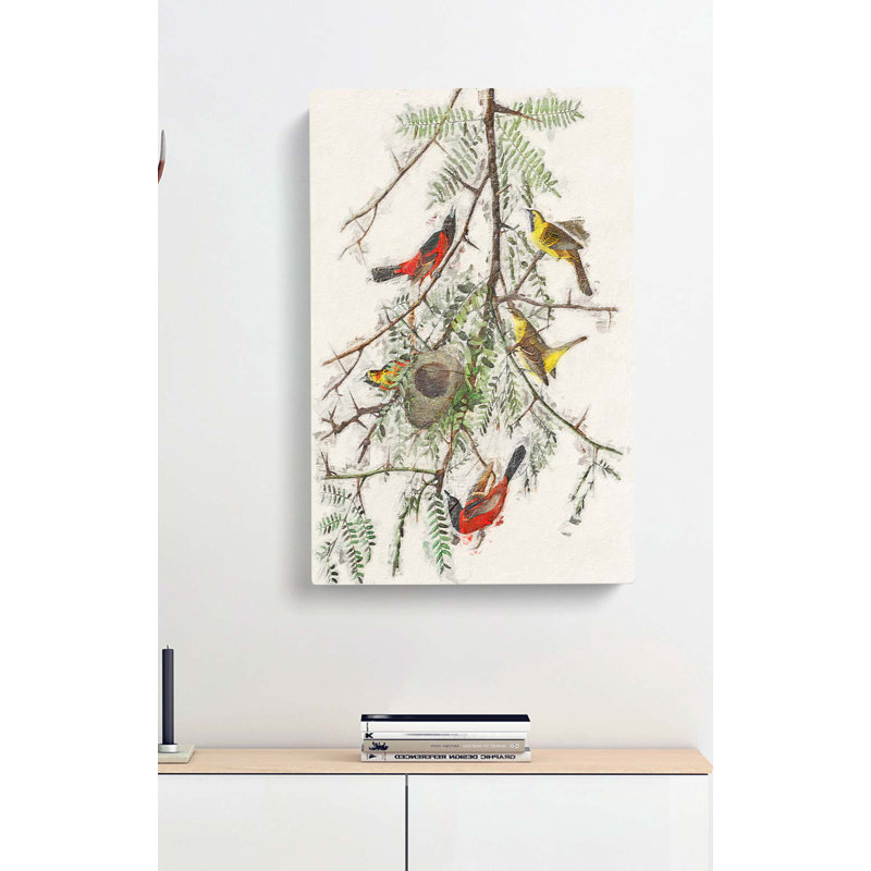 Orchard Oriole by John Audubon - Wrapped Canvas Painting, 76cm H x 50cm W x 3cm D