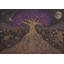 Cosmic Roots