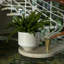 Handmade Ceramic Planter-426443253-426443254