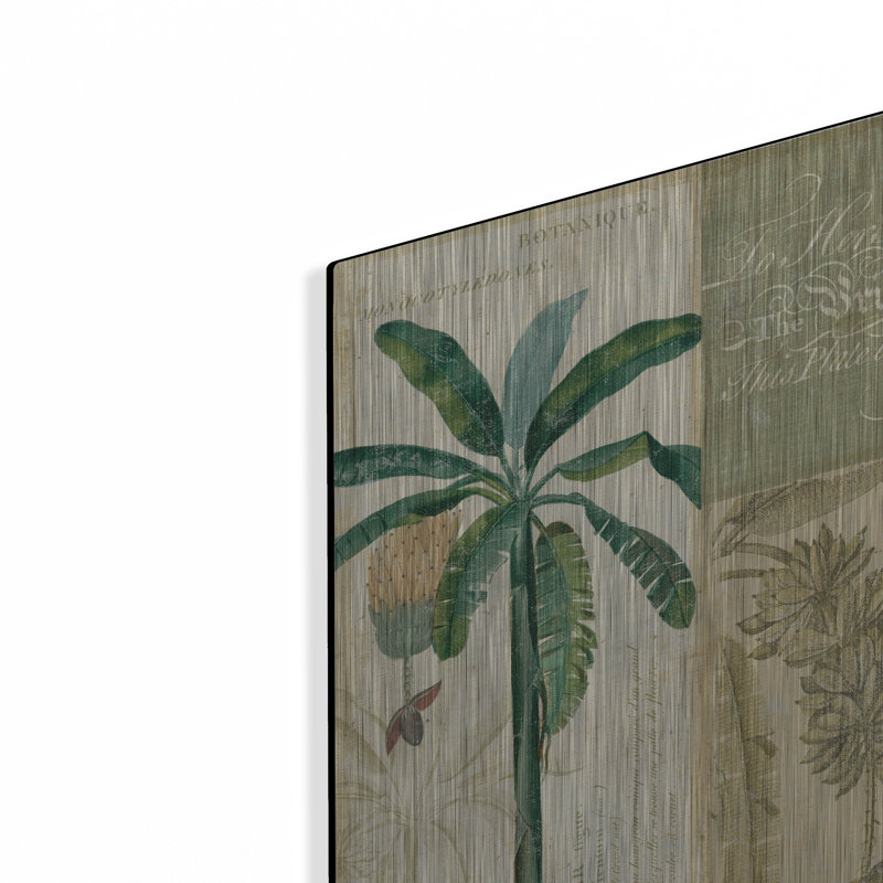 «Palm Study II» par NBL Studio, H 16 po x l 12 po