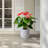 High quality ceramic flowerpot-1785821333