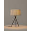 Metal Tripod Lamp-682078101
