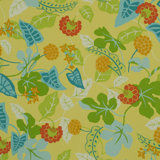 Baja Fabric