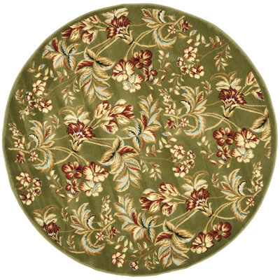 Carolane Performance Floral Rug