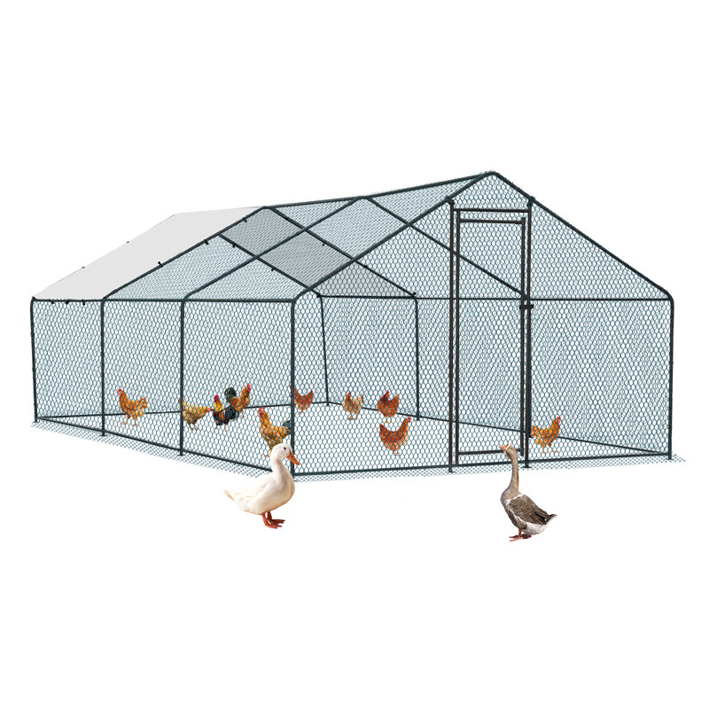 Emmeric Walk In Chicken Run, H 78 po x l 236 po x P 117 po, Noir