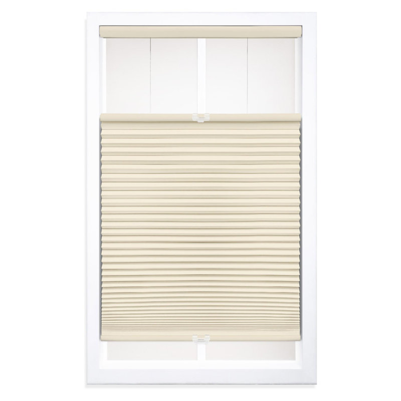 Blackout Top Down Bottom Up Cellular Shade, Alabaster, 52.5" W x 48" L