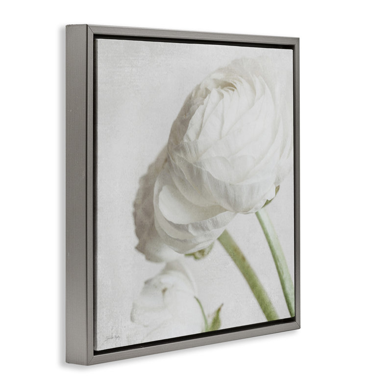 Charmante pivoine blanche encadrée par Jennifer Rigsby, Cadre flottant gris lustré, H 18 po x l 18 po