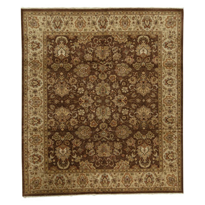 Hand Knotted Area Rug in Brown And Beige