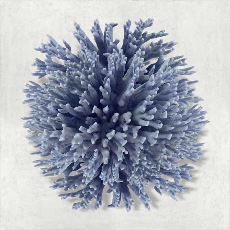 Coral Indigo I by Caroline Kelly - Wrapped Canvas Print, 51cm H x 51cm W