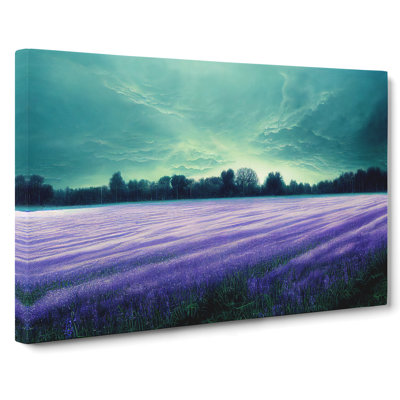 Illuminated Bluebell Field - Wrapped Canvas