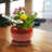 Handmade Ceramic Pot Planter