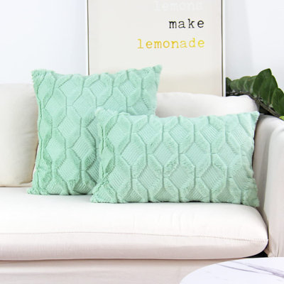Set of 2 coordinated decorative throw pillows, 1 of size 18"x18" and 1 of size 12"x20"