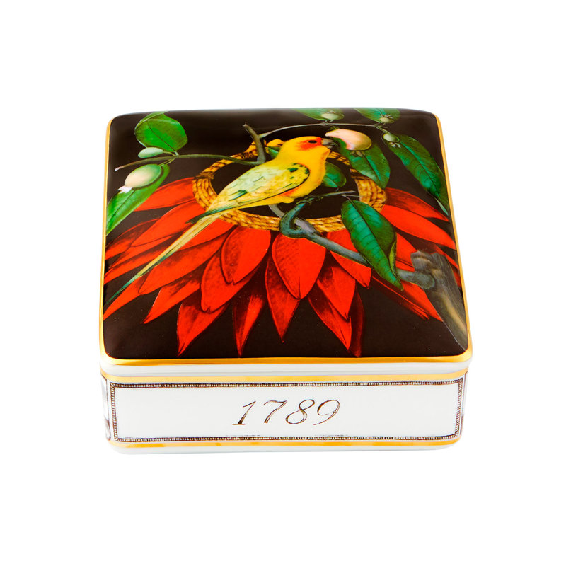 Amazōnia Handmade Decorative Box
