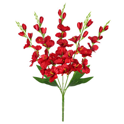Gladiolus Stem