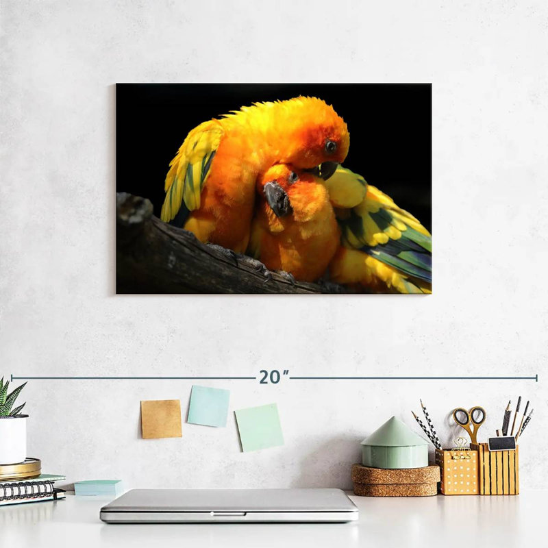 Crowle Perched Parrot Pair, 8" H x 12" W