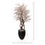Seeded Eucalptus Tree in a Fiberstone Planter