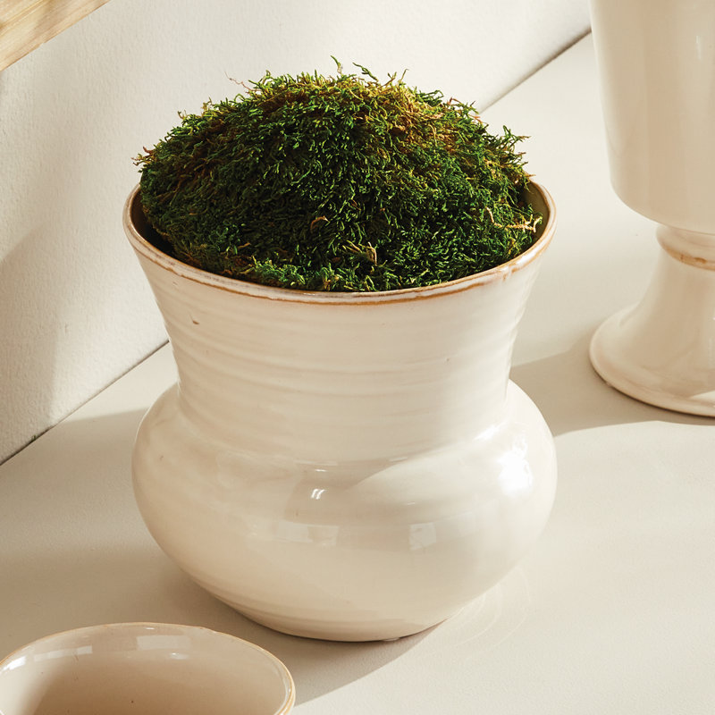 Delaney Pot Planter, Cream, 6.5" H x 6.5" W x 6.5" D