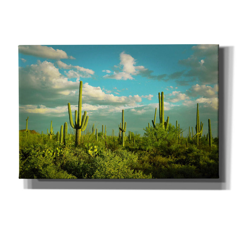 «Saguaros No. 2» par Carlos Vargas, art mural sur toile, H 12 po x l 18 po x P 0,75 po