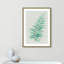 «Delicate Botanical I», reproduction sur papier encadrée-55038419-55038402