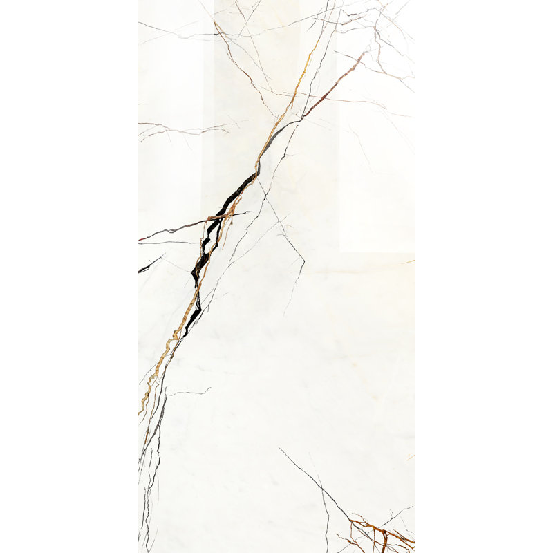Carreau de porcelaine poli 24 po x 48 po Uproot Amazonia