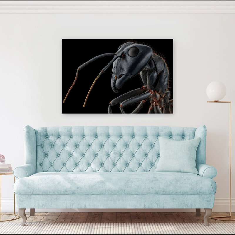 Ant Macro Detail Contemporary Ant Wall Art Print 1 Piece Wrapped Canvas Wall Art, 101.6cm H x 152.4cm W
